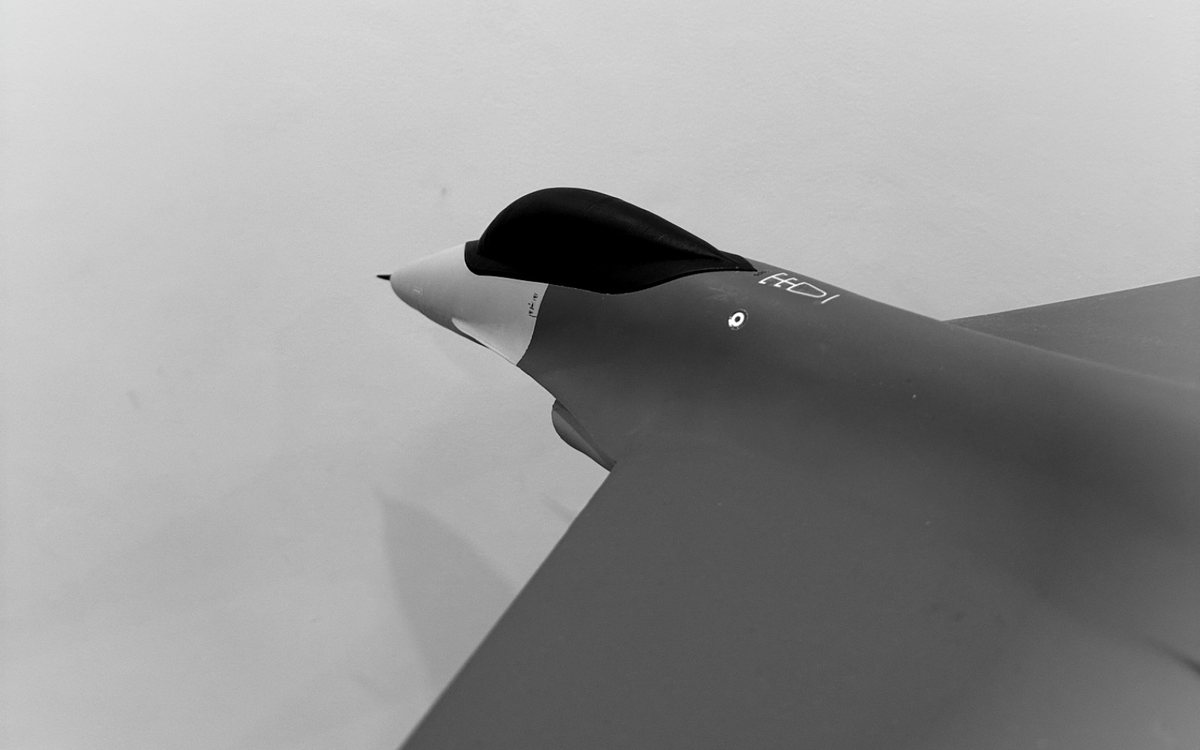 RC-Flugzeugmodell zum Verkauf